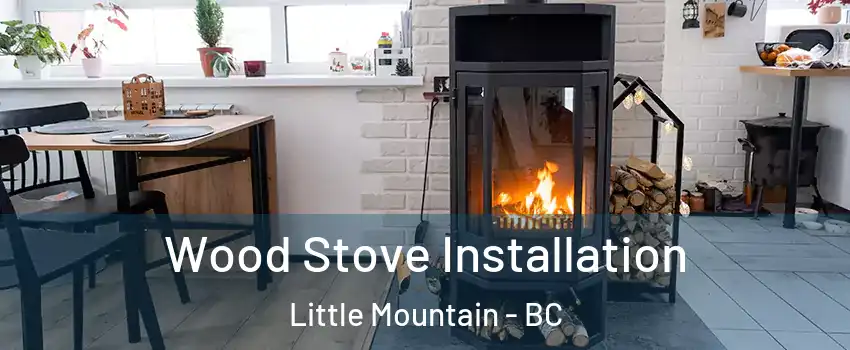 Wood Stove Installation Little Mountain - BC