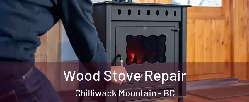 Wood Stove Repair Chilliwack Mountain - BC