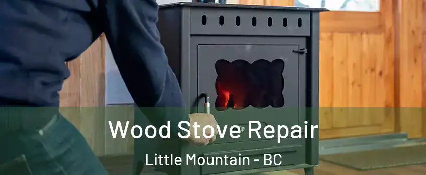 Wood Stove Repair Little Mountain - BC