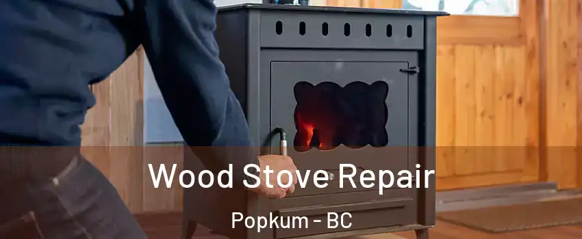 Wood Stove Repair Popkum - BC