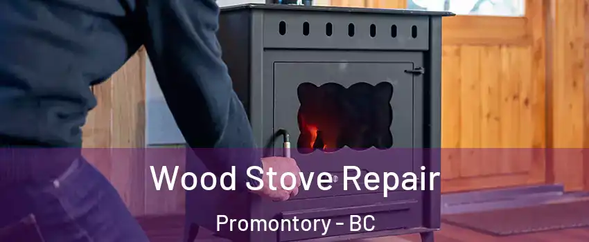 Wood Stove Repair Promontory - BC